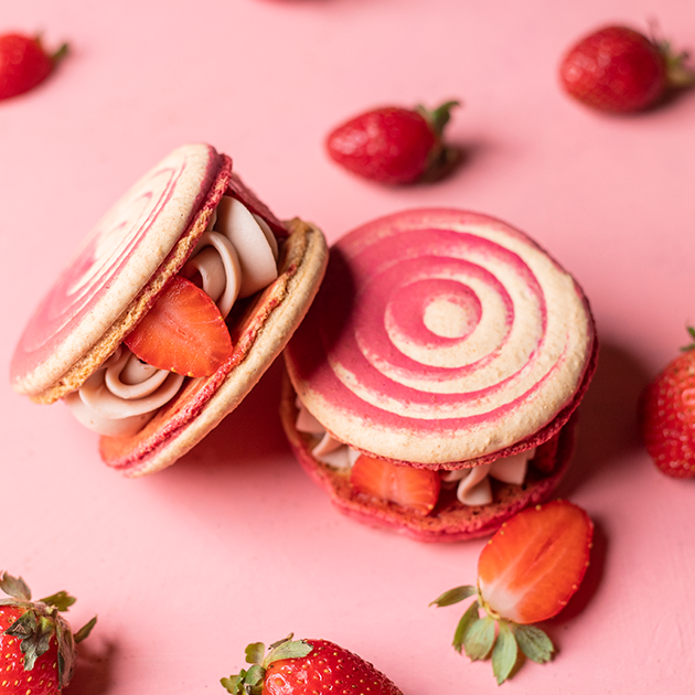 Strawberry Rose Jumbo Macarons